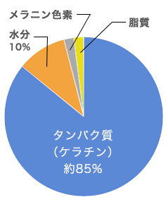 円グラフ