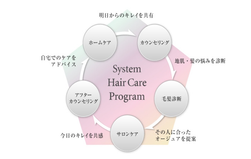 systemhaircareprogram