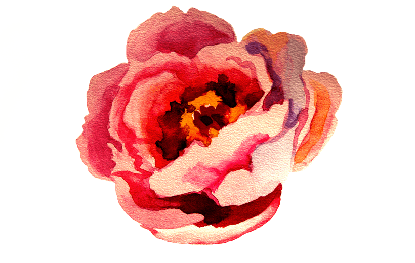 peony