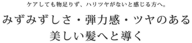 ケアしても物足りず、ハリツヤがないと感じる方へ。みずみずしさ・弾力感・ツヤのある美しい髪へと導く