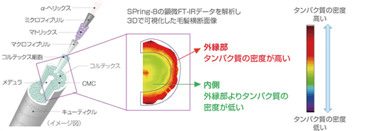 図1