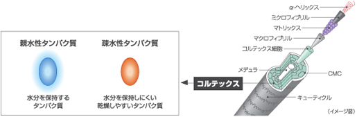 図1