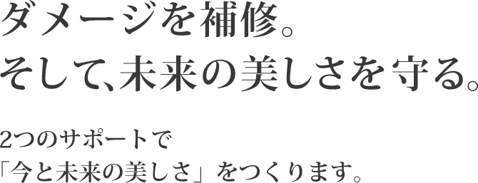 ダメージを補修。そして、未来の髪を守る。2つのサポートで「今と未来の美しい髪」をつくります。