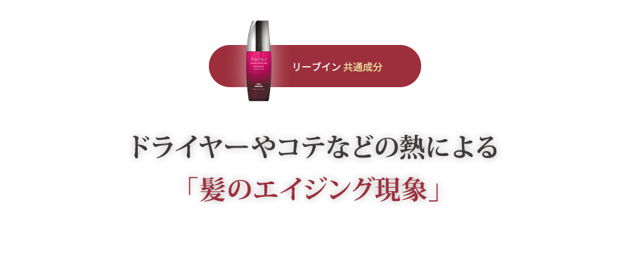 リーブイン共通成分 ドライヤーやコテなどの熱による「髪のエイジング現象」