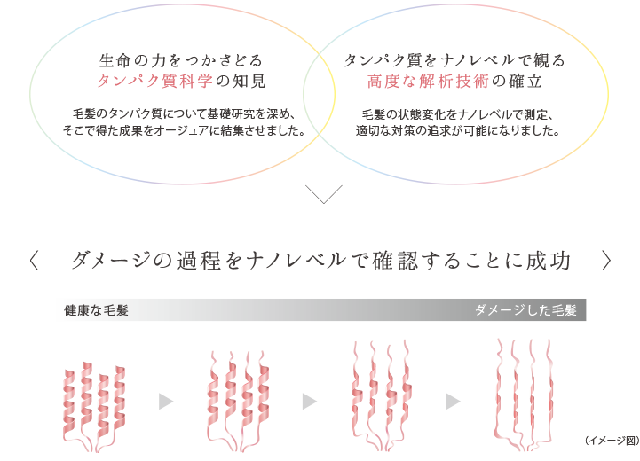 ダメージの過程をナノレベルで確認することに成功