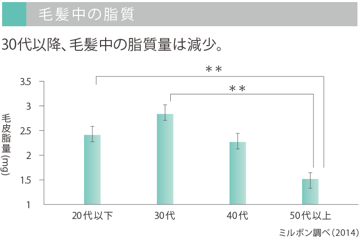毛髪中の脂質