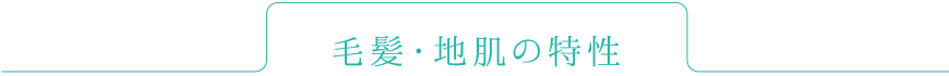 毛髪・地肌の特性