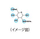 グルコサミン