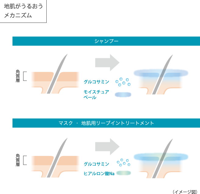 地肌がうるおうメカニズム