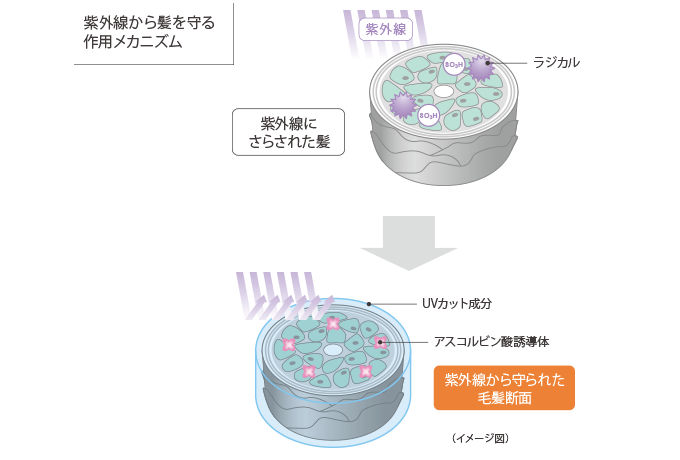 ç´«å¤ç·ããé«ªãå®ãä½ç¨ã¡ã«ããºã 