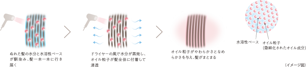 ぬれた髪の水分と水溶性ベースが馴染み、髪一本一本に行き届く ドライヤーの風で水分が蒸発し、オイル粒子が髪全体に付着して浸透 オイル粒子がやわらかさとなめらかさを与え、髪がまとまる