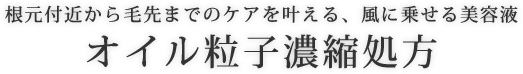 根元付近から毛先までのケアを叶える、風に乗せる美容液 オイル粒子濃縮処方