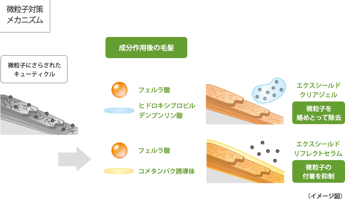 微粒子対策メカニズム