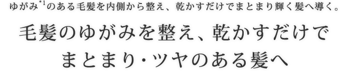 ゆがみ*1のある毛髪を内側から整え、乾かすだけでまとまり輝く髪へ導く。毛髪のゆがみを整え、乾かすだけでまとまり・ツヤのある髪へ