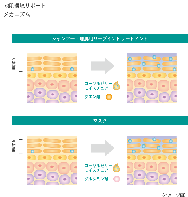 地肌環境サポートメカニズム