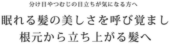 分け目やつむじの目立ちに特に悩まれている方へ 眠れる髪の美しさを呼び覚まし根元から立ち上がる髪へ