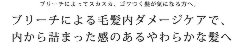 ブリーチによってスカスカ、ゴワつく髪が気になる方へ。ブリーチによる毛髪内ダメージケアで、 内から詰まった感のあるやわらかな髪へ