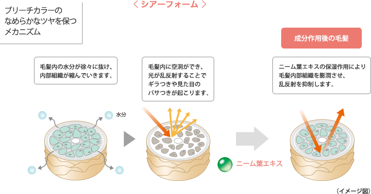 ブリーチカラーのなめらかなツヤを保つメカニズム