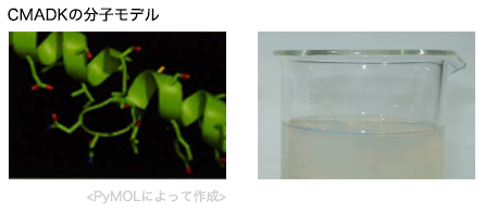 Aujuaの代表的な成分 | Aujua(オージュア)