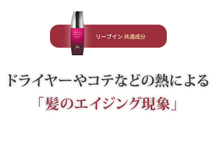 リーブイン共通成分 ドライヤーやコテなどの熱による「髪のエイジング現象」