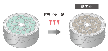 Aujuaの代表的な成分 | Aujua(オージュア)