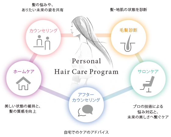 パーソナルヘアケアプログラムの図