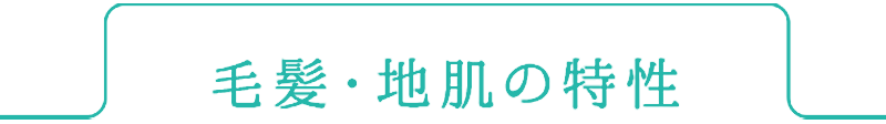 毛髪・地肌の特性