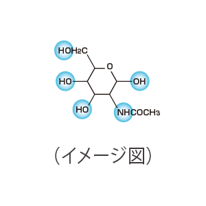 グルコサミン