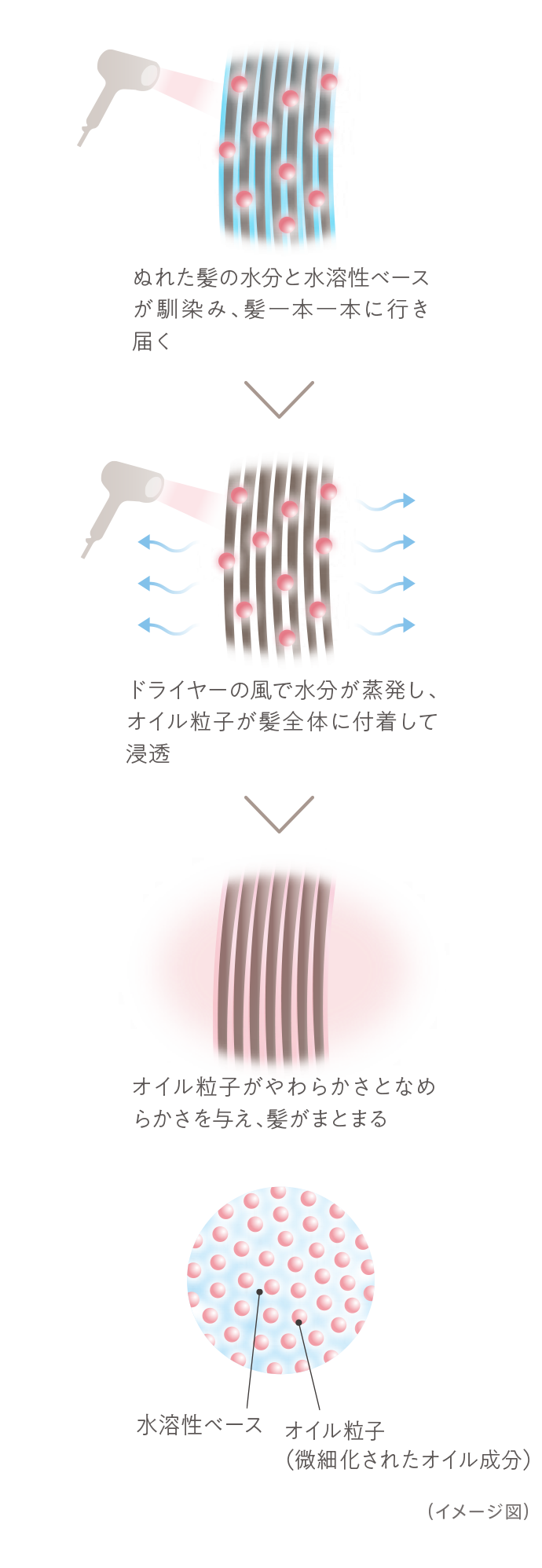 ぬれた髪の水分と水溶性ベースが馴染み、髪一本一本に行き届く ドライヤーの風で水分が蒸発し、オイル粒子が髪全体に付着して浸透 オイル粒子がやわらかさとなめらかさを与え、髪がまとまる