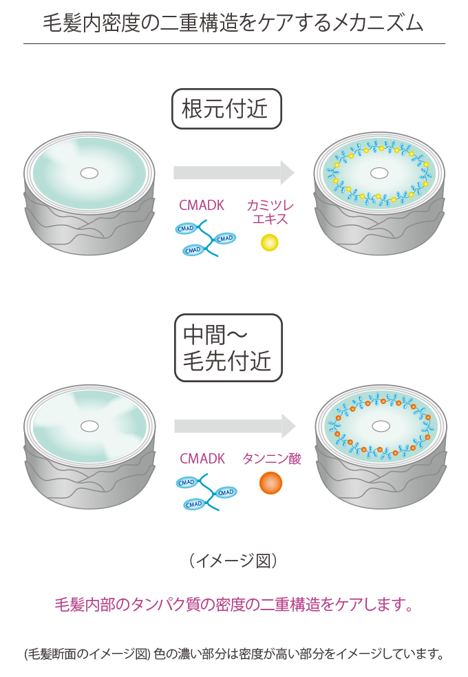 ウレア誘導体 イメージ図