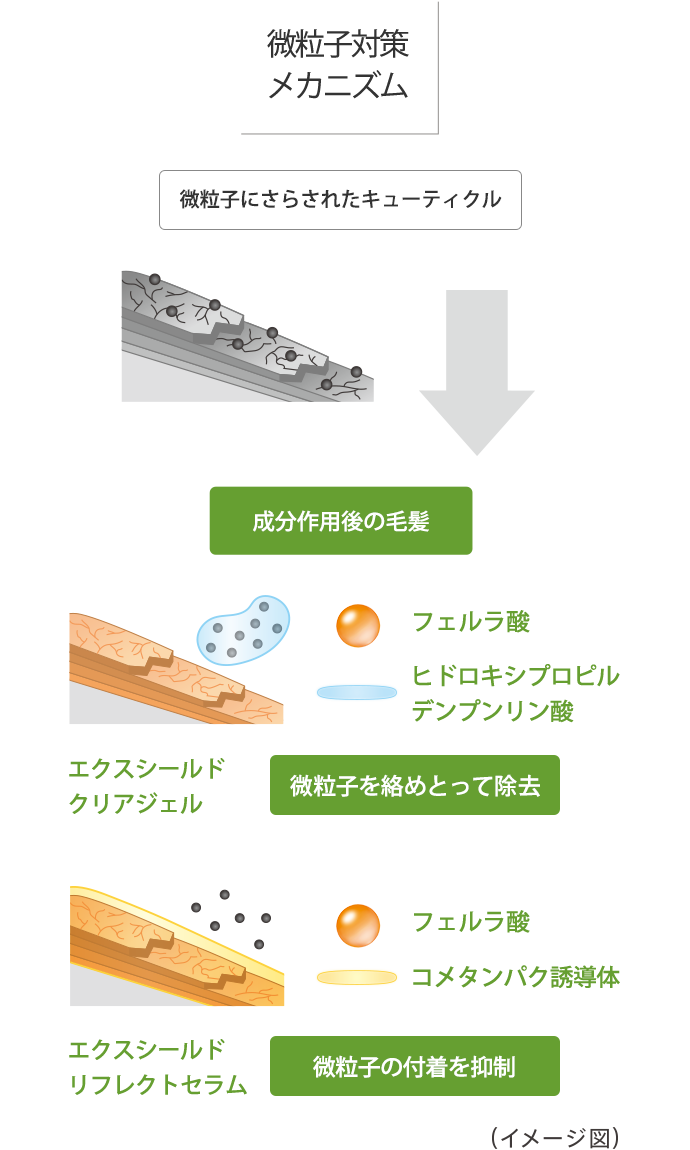 微粒子対策メカニズム