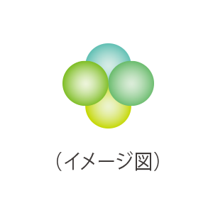 4-BBエキス