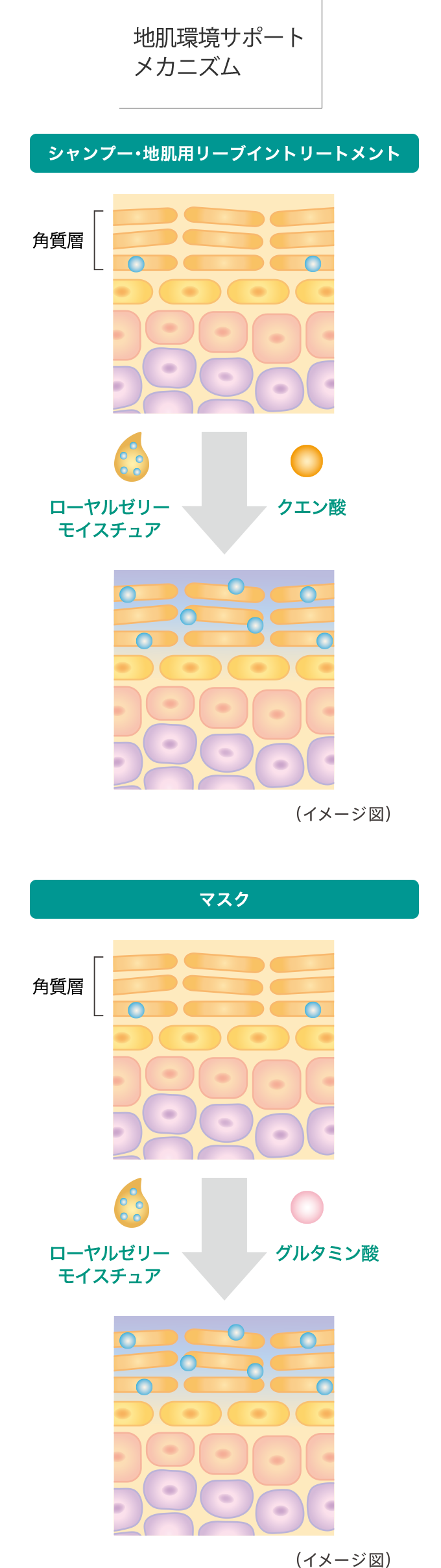 地肌環境サポートメカニズム