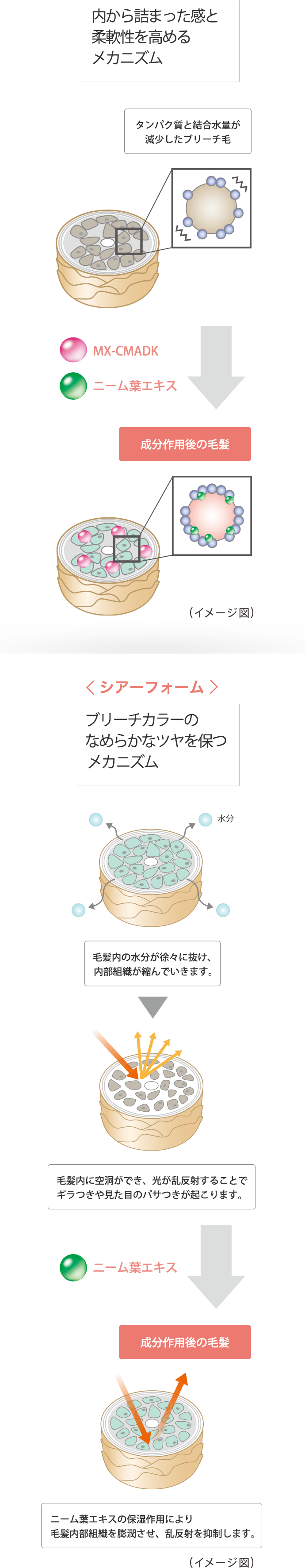 構造の乱れを整えるメカニズム